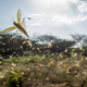 Swarming locusts in Kenya, February 1, 2020.
